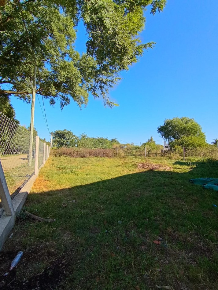 TERRENO EN VENTA SAUCE MONTRULL