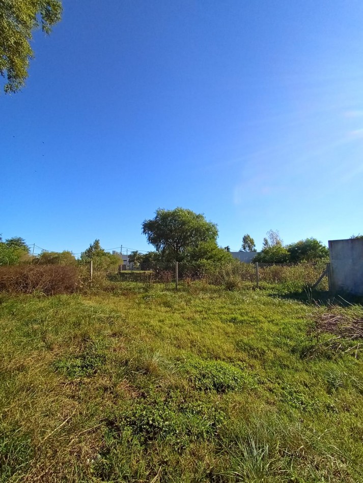 TERRENO EN VENTA SAUCE MONTRULL