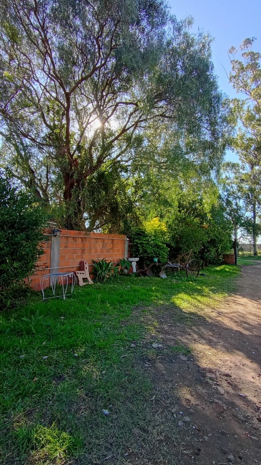 QUINTA EN VENTA SAUCE MONTRULL